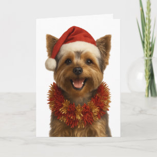 Yorkshire Terrier in einer Weihnachtsmannmütze Wei Karte