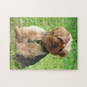 Yorkshire Terrier in Park Puzzle (Horizontal)