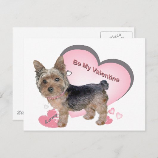 Yorkshire Terrier in rosa Karten (Vorne/Hinten)