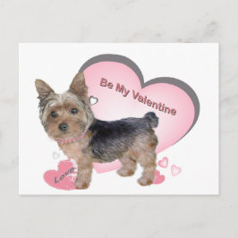 Yorkshire Terrier in rosa Karten