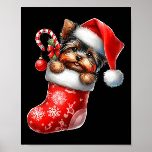 Yorkshire Terrier in Sock Christmas Weihnachtsmann Poster