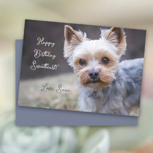 Yorkshire Terrier Individuelle Geburtstagskarte Karte