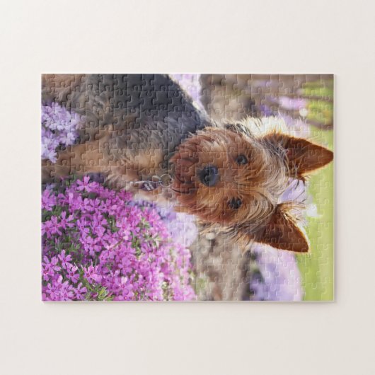 Yorkshire Terrier Jigsaw Puzzle (Horizontal)