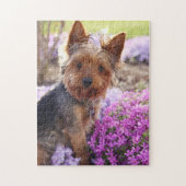 Yorkshire Terrier Jigsaw Puzzle (Vertikal)