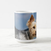 Yorkshire Terrier Kaffeetasse (Mittel)