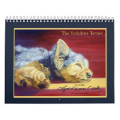 Yorkshire Terrier Kalender (Titelbild)