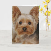 Yorkshire Terrier Karte (Gelbe Blume)