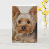 Yorkshire Terrier Karte (Gelbe Blume)