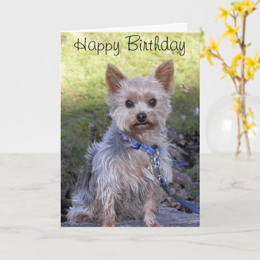 Yorkshire Terrier Karte (Gelbe Blume)