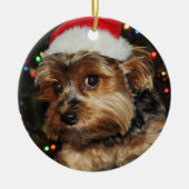 Yorkshire Terrier Keramikornament (Vorne)