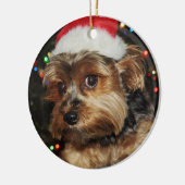 Yorkshire Terrier Keramikornament (Links)