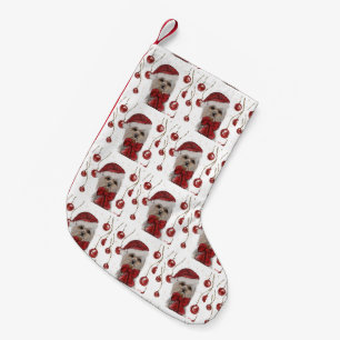 YORKSHIRE TERRIER  KLEINER WEIHNACHTSSTRUMPF