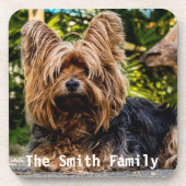 Yorkshire Terrier Kunststoffuntersetzer Untersetzer (Vorderseite)