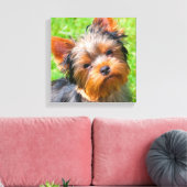 Yorkshire Terrier Leinwanddruck (Insitu (Wohnzimmer))