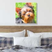 Yorkshire Terrier Leinwanddruck (Insitu (Schlafzimmer))