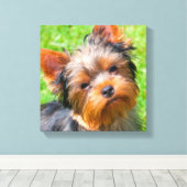 Yorkshire Terrier Leinwanddruck (Insitu (Holzboden))