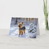 Yorkshire Terrier Let It Snow Christmas Karte (Vorderseite)