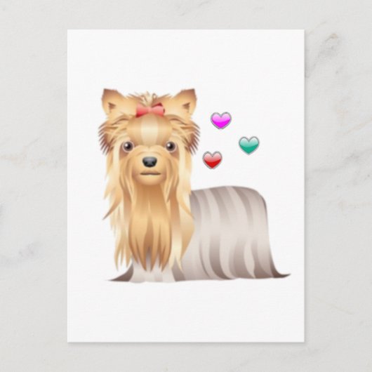 Yorkshire Terrier Liebe Postkarte (Vorderseite)