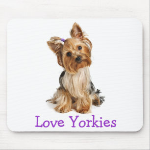 Yorkshire Terrier Liebe Yorkies Welpen Hund Mauspa Mousepad