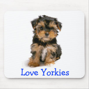 Yorkshire Terrier Liebe Yorkies Welpen Hund Mauspa Mousepad