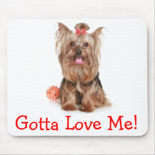 Yorkshire Terrier Liebe Yorkies Welpen Hund Mauspa Mousepad