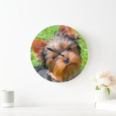 Yorkshire Terrier looking up Große Wanduhr (Zuhause)
