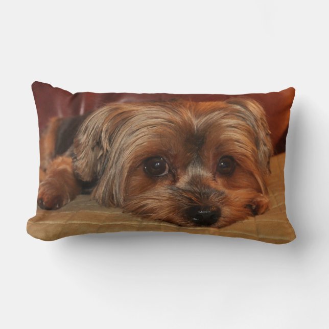 Yorkshire Terrier Lumbar Pillow Lendenkissen (Vorderseite)