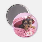 Yorkshire Terrier Magnet (Vorderseite/Rückseite)