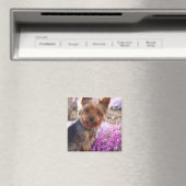 Yorkshire Terrier Magnet (In Situ (Geschirrspüler))