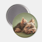 Yorkshire Terrier Magnet (Vorderseite/Rückseite)