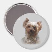 Yorkshire Terrier Magnet (Vorderseite/Rückseite)