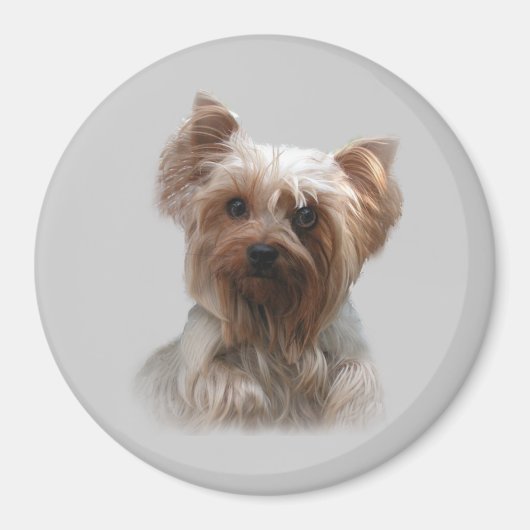 Yorkshire Terrier Magnet (Vorne)