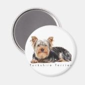 Yorkshire Terrier Magnet (Vorderseite/Rückseite)