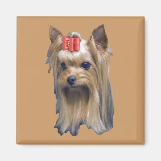 Yorkshire Terrier Magnet