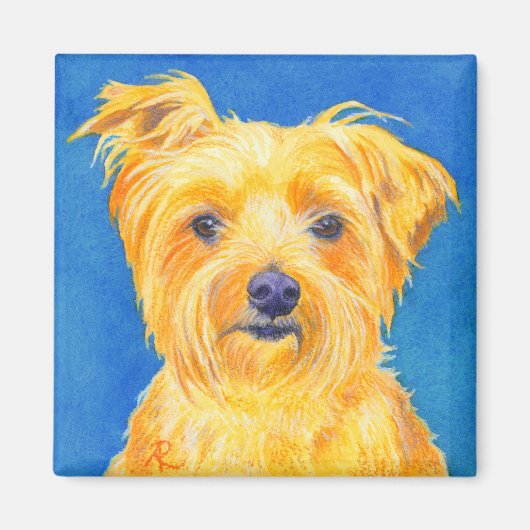 Yorkshire Terrier Magnet - "Sammy" (Vorne)