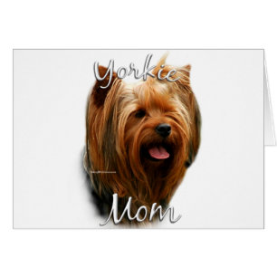 Yorkshire Terrier Mama 2
