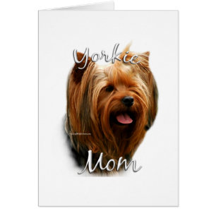 Yorkshire Terrier Mama 2