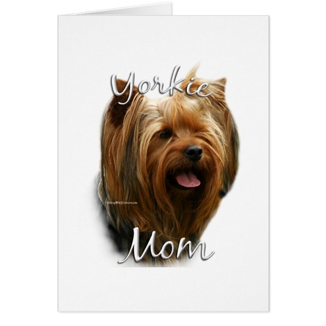 Yorkshire Terrier Mama 2 (Vorne)