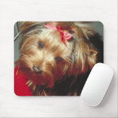 Yorkshire Terrier Mousepad (Mit Mouse)