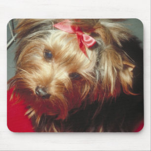 Yorkshire Terrier Mousepad