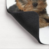 Yorkshire Terrier Mousepad (Ecke)
