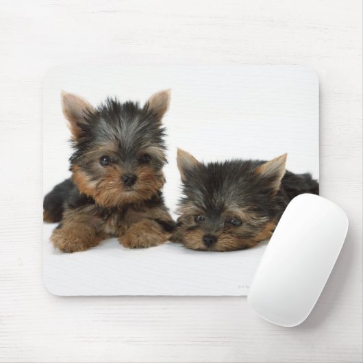 Yorkshire Terrier Mousepad (Mit Mouse)