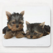 Yorkshire Terrier Mousepad (Vorne)