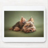 Yorkshire Terrier Mousepad (Vorne)