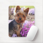 Yorkshire Terrier Mousepad (Mit Mouse)