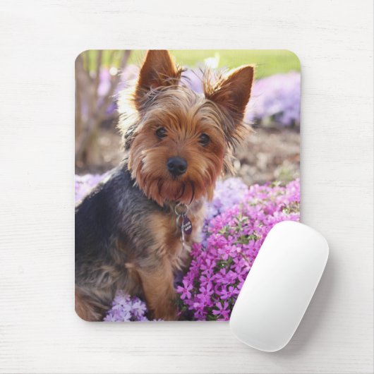 Yorkshire Terrier Mousepad (Mit Mouse)