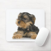 Yorkshire Terrier Mousepad (Mit Mouse)