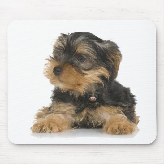 Yorkshire Terrier Mousepad (Vorne)