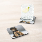 Yorkshire-Terrier, Nahaufnahme Untersetzer (Rechte Seite)