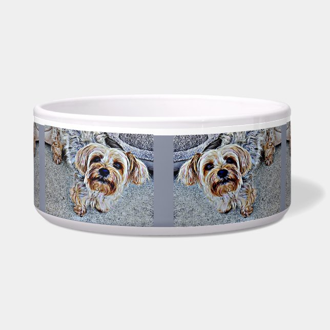 Yorkshire Terrier Napf (Vorderseite)